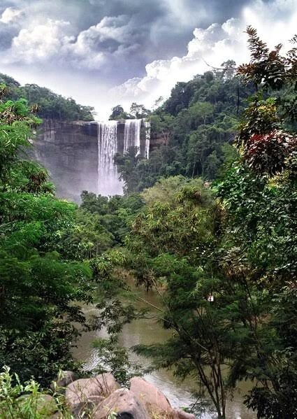 Tad Soung Waterfall in the surrounding forest